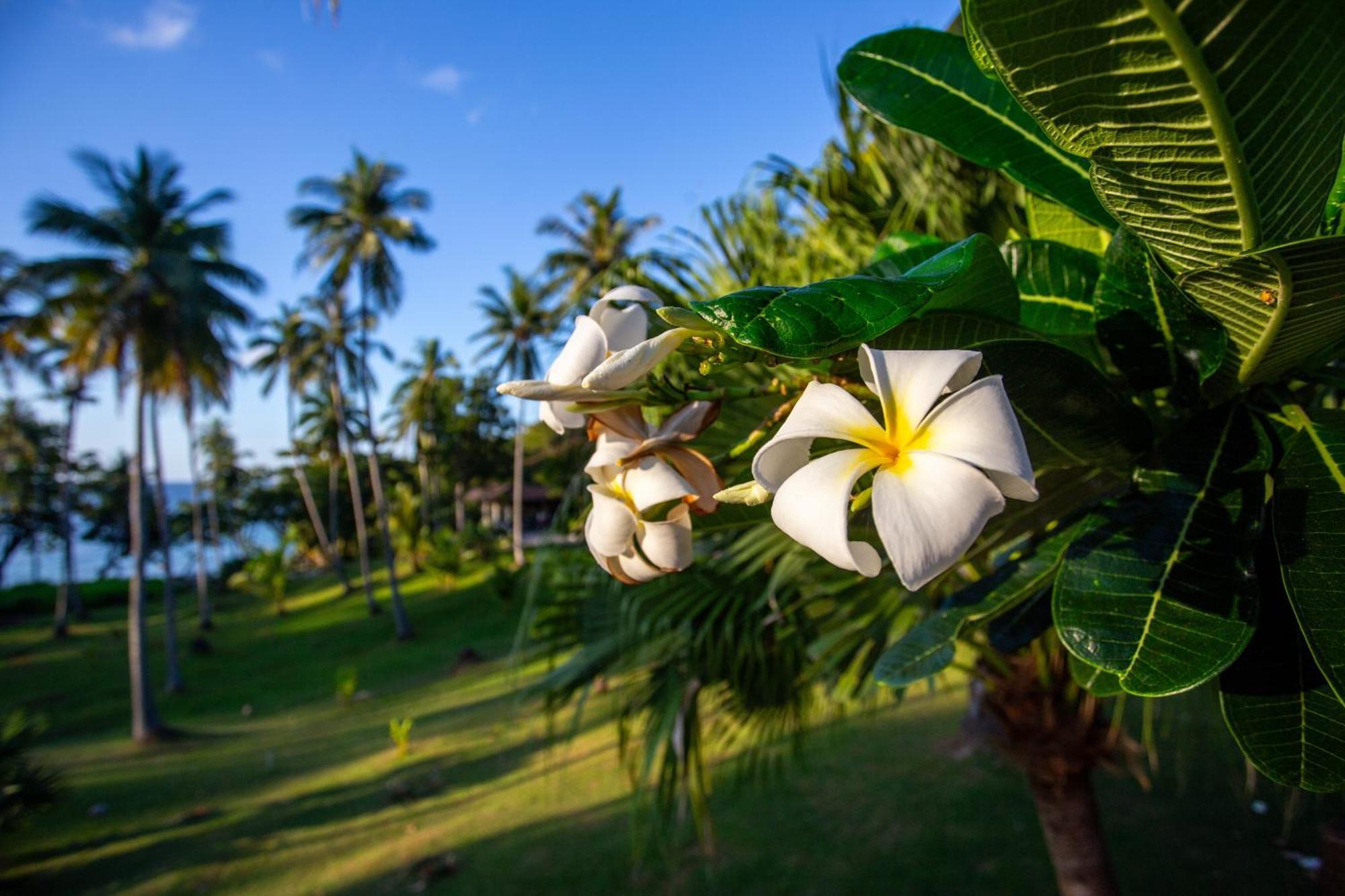 Ban Raya Resort And Spa Ko Racha Yai Eksteriør billede