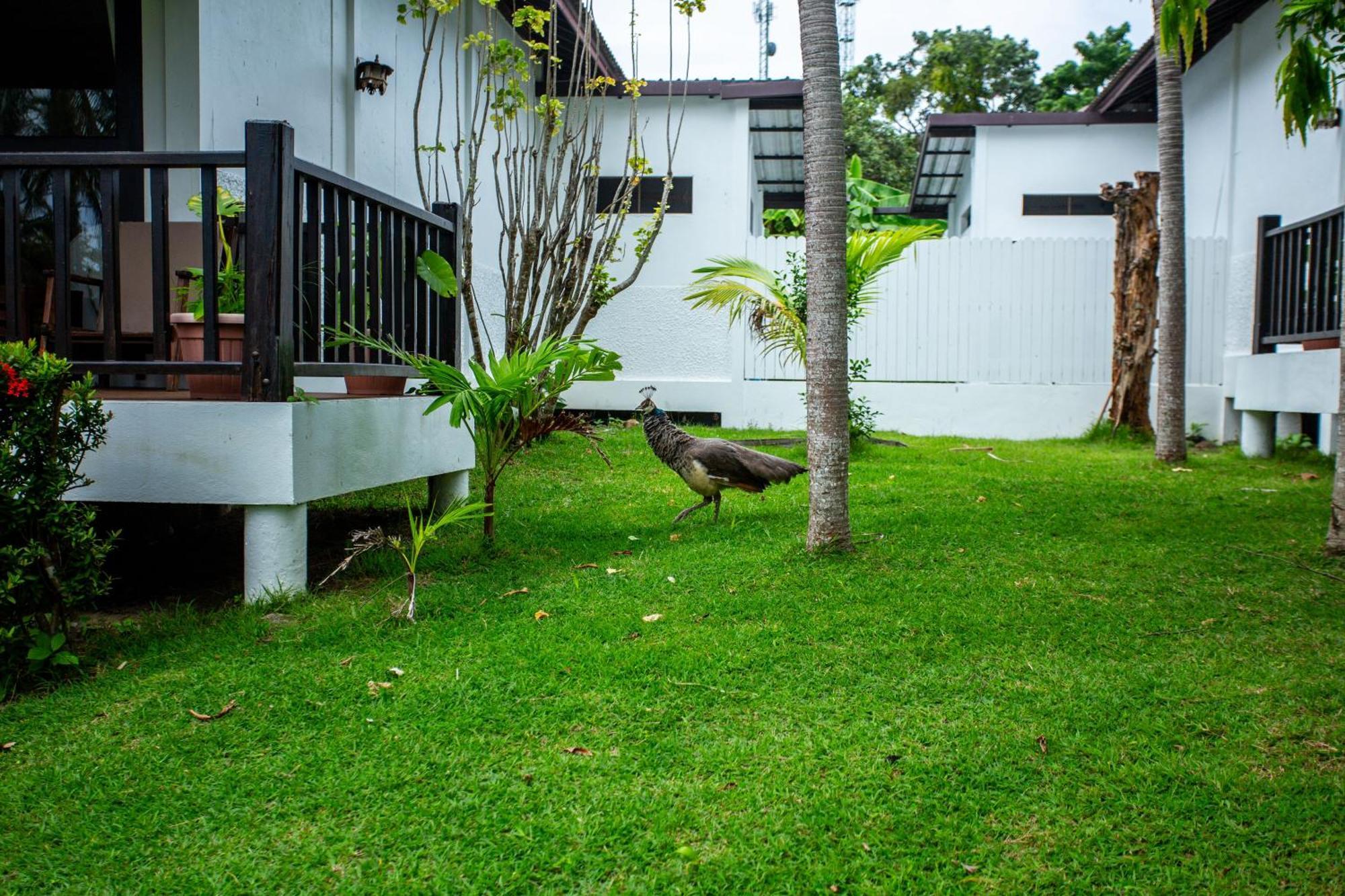 Ban Raya Resort And Spa Ko Racha Yai Eksteriør billede